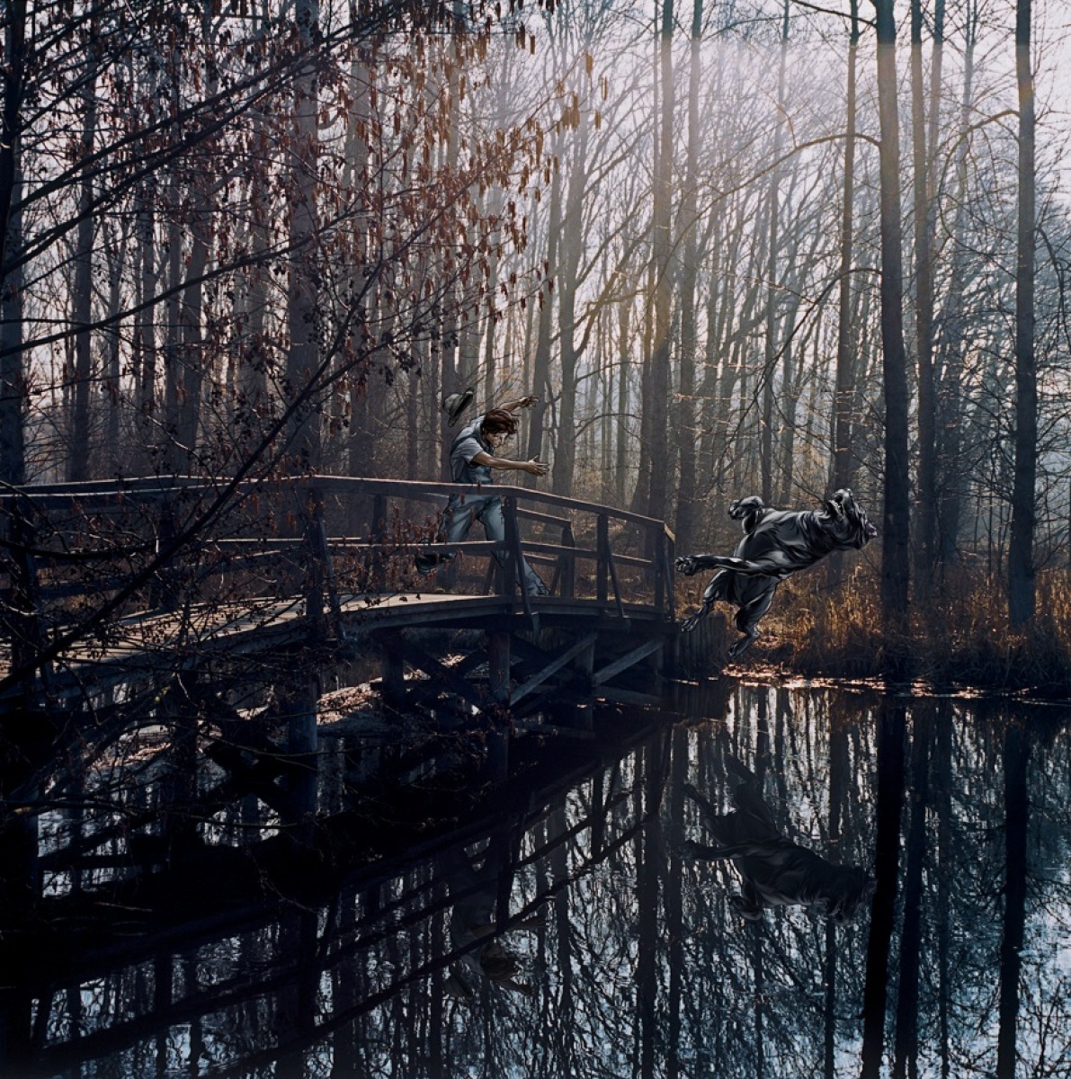 Tony Earley: “Jack and the Mad Dog”