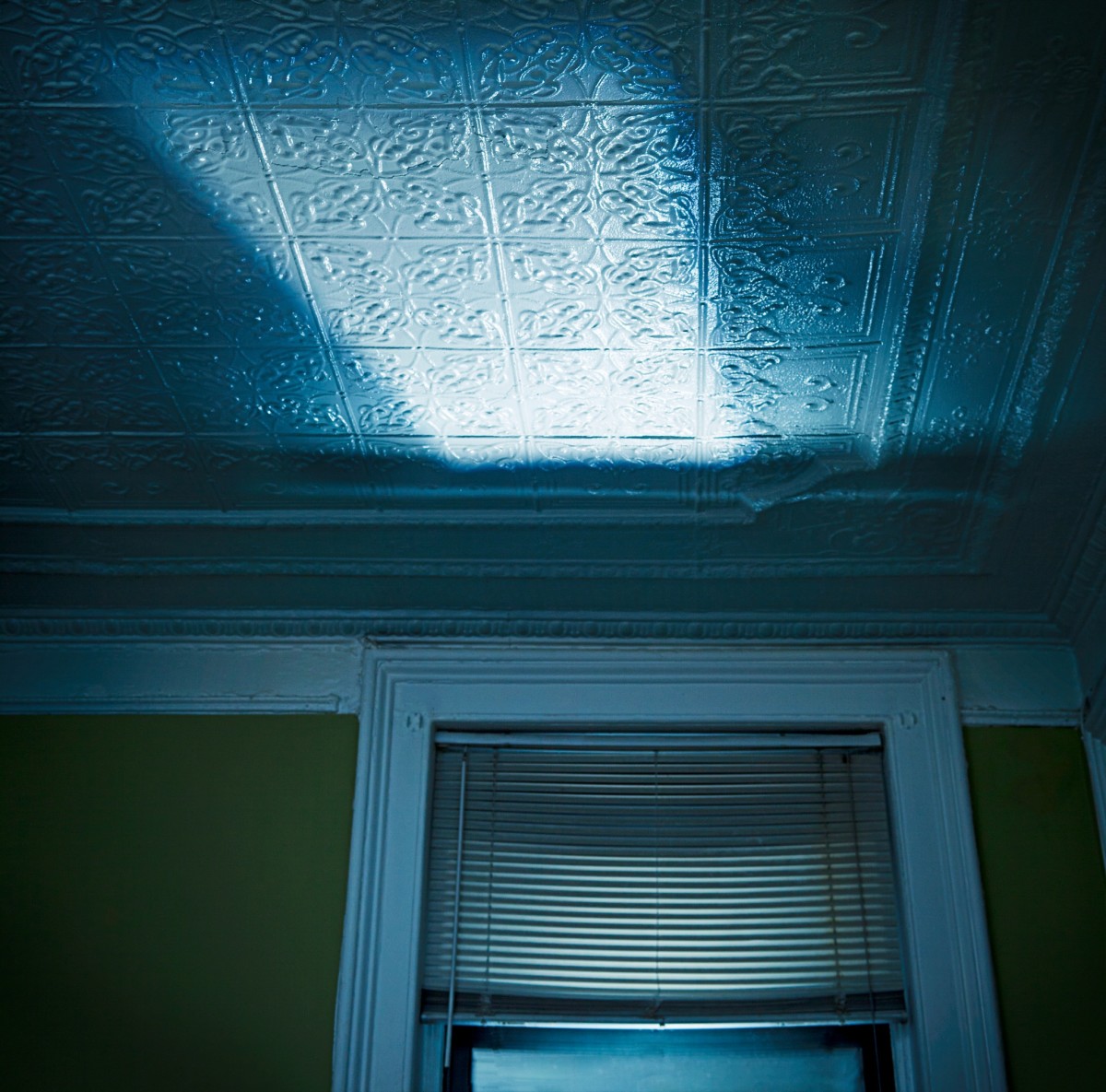 Steven Millhauser: “A Voice in the Night”